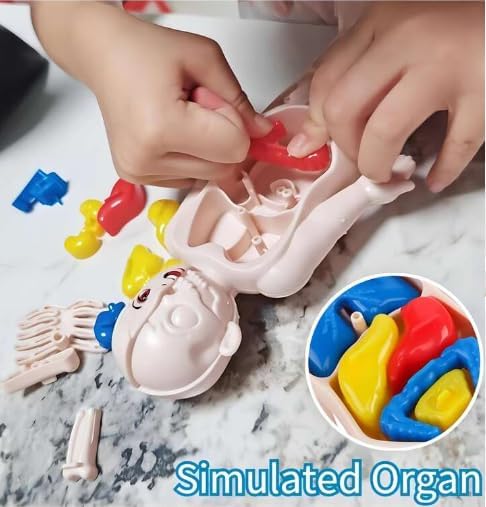 Human Body Part Model Educational Toy Set Detachable Human Organs Model