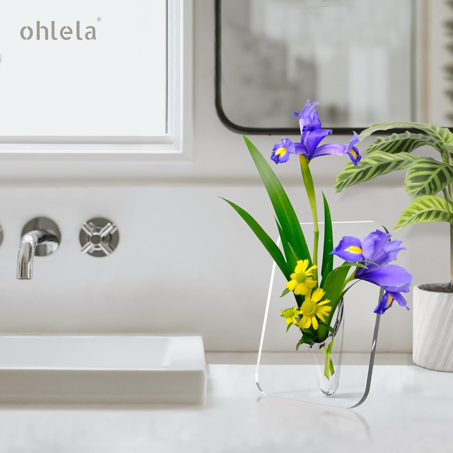 Frame Flower Vase Home Decoration 7.8X5.9Inch for House Warming Gifts Sturdy Transparent|Home & Garden|Home D