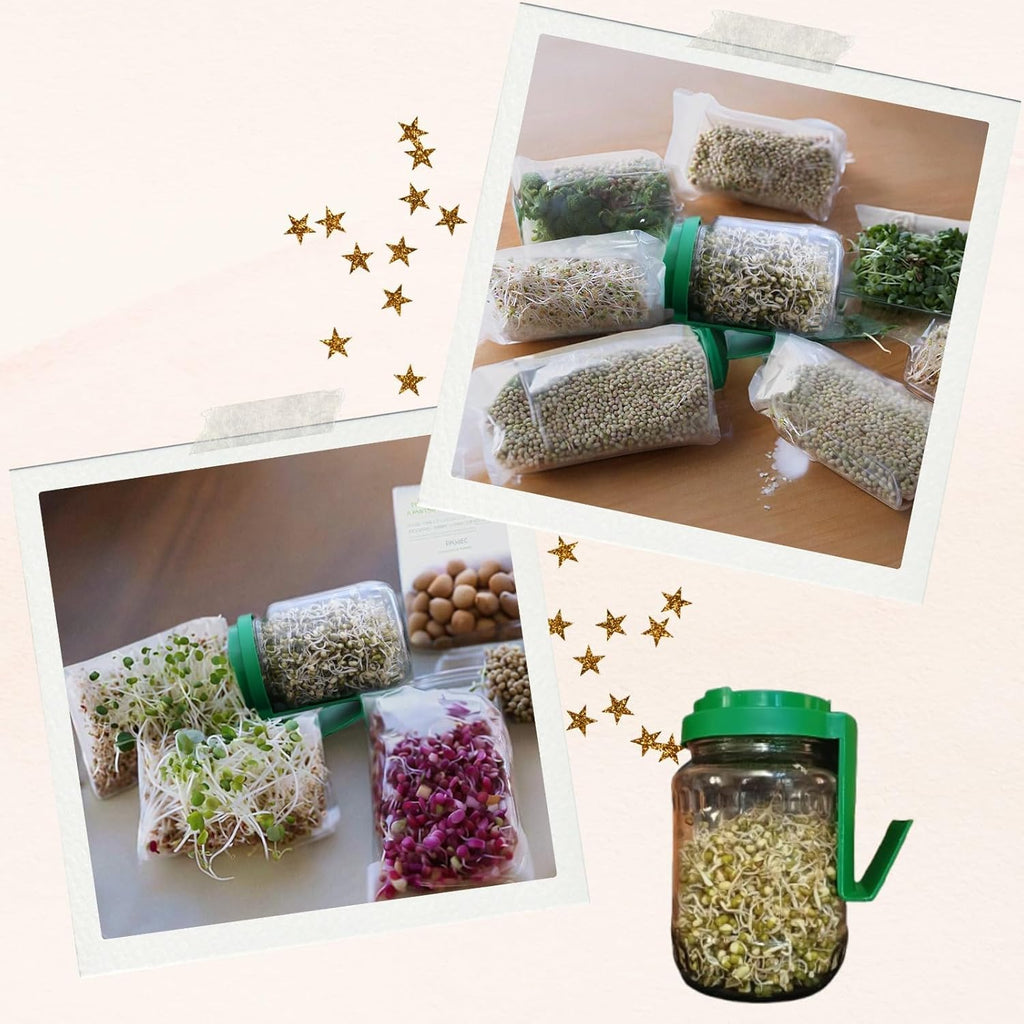 Sprouts Maker Jar – 720ml Durable & Reusable Sprouter for All Seeds and Beans, BPA-Free with 300-Hole Mesh Lid for Airflow, Odor-Free, Easy Drainage, and Hygienic Design (MULTI)