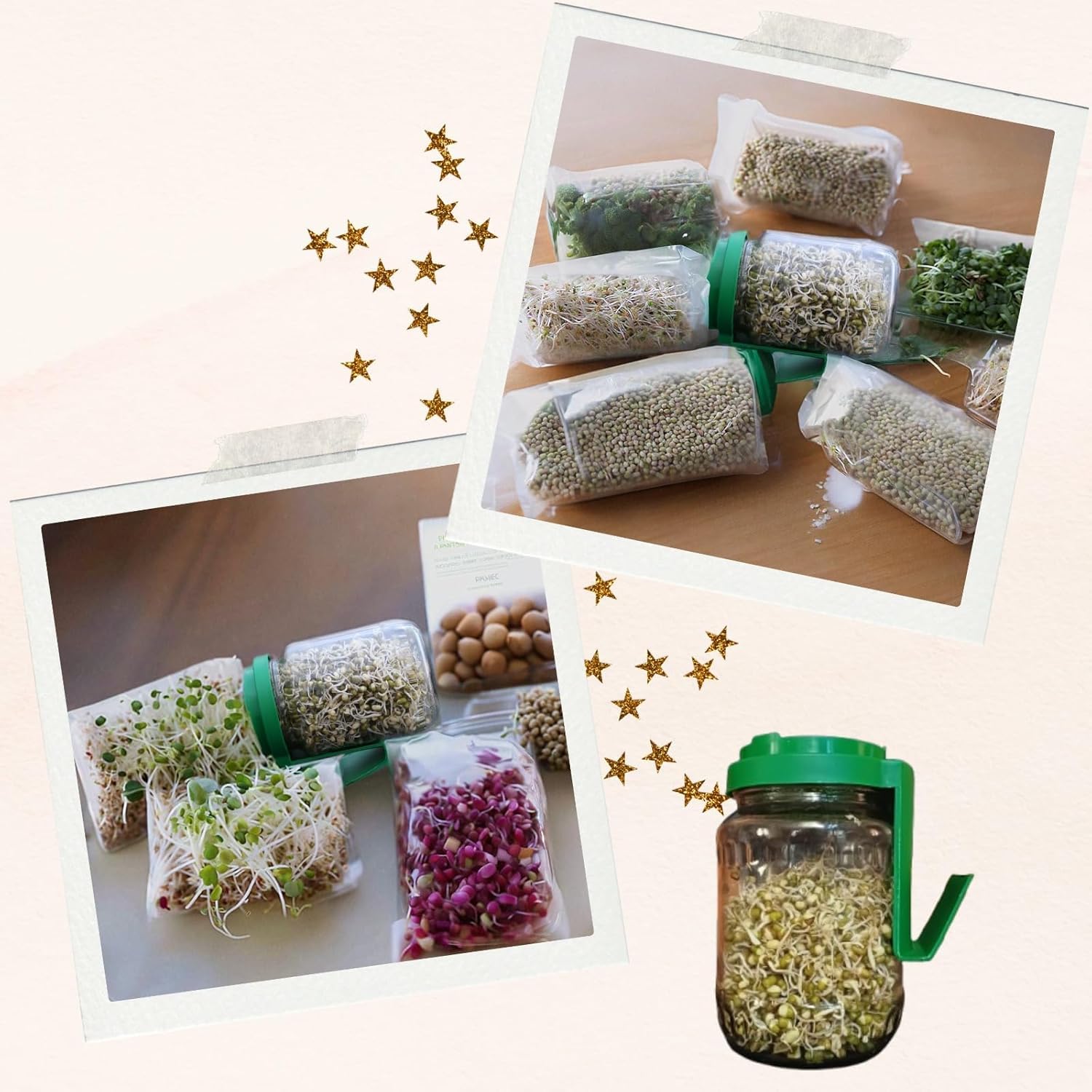 Sprouts Maker Jar – 720ml Durable & Reusable Sprouter for All Seeds and Beans, BPA-Free with 300-Hole Mesh Lid for Airflow, Odor-Free, Easy Drainage, and Hygienic Design (MULTI)