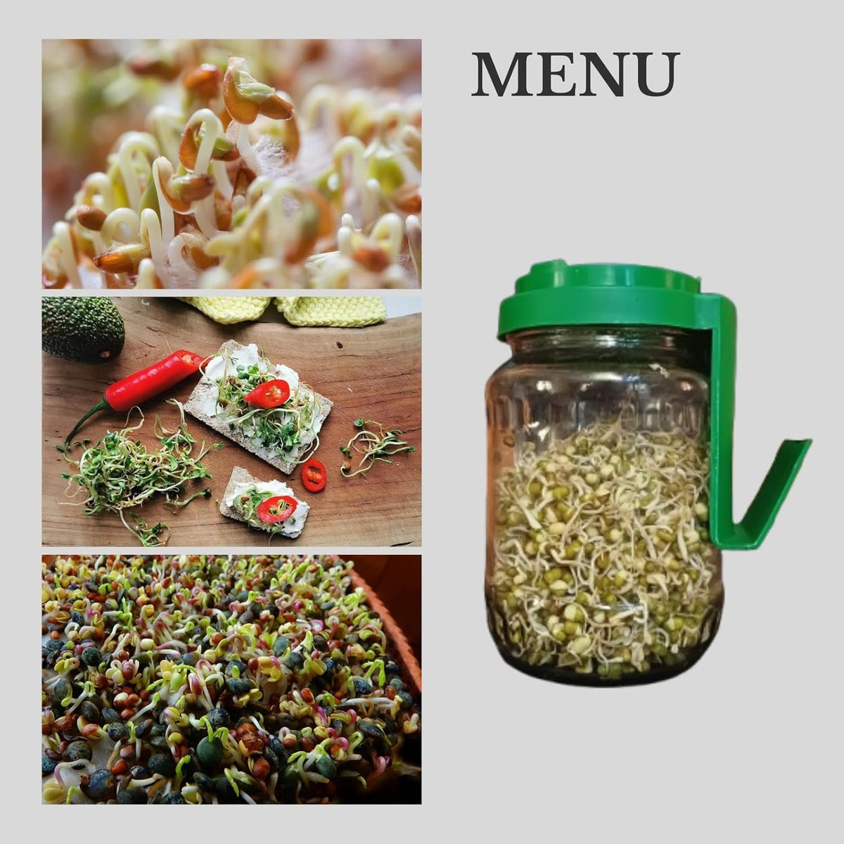 Sprouts Maker Jar – 720ml Durable & Reusable Sprouter for All Seeds and Beans, BPA-Free with 300-Hole Mesh Lid for Airflow, Odor-Free, Easy Drainage, and Hygienic Design (MULTI)